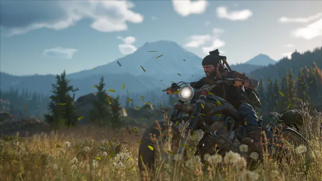 Days Gone oyunundan görüntü 3