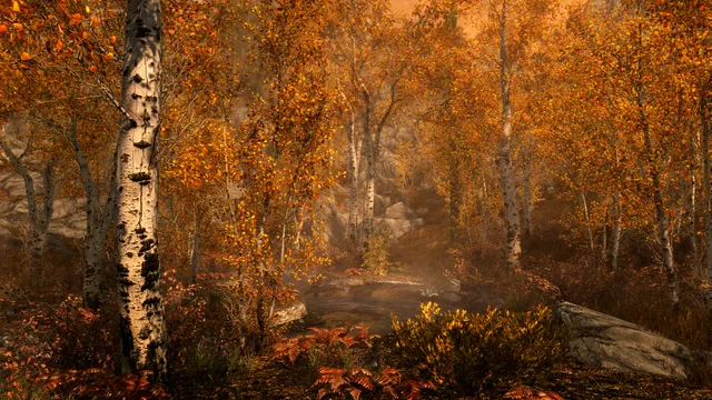 The Elder Scrolls V: Skyrim Special Edition oyunundan görüntü 3